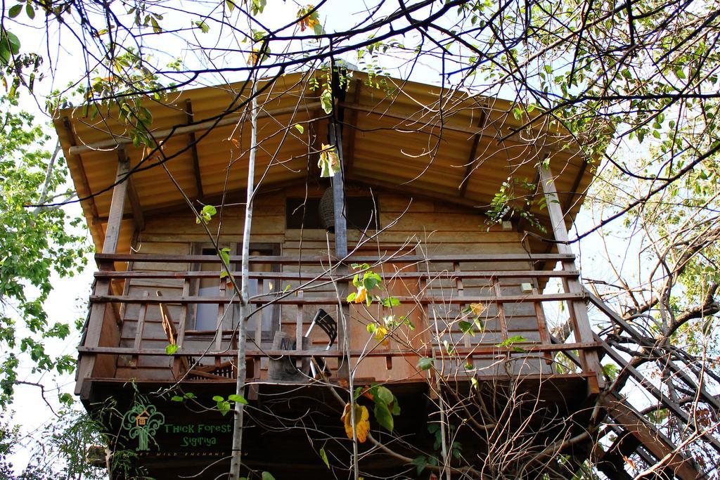 The Thick Forest Sigiriya Ruang foto