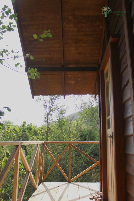 The Thick Forest Sigiriya Ruang foto