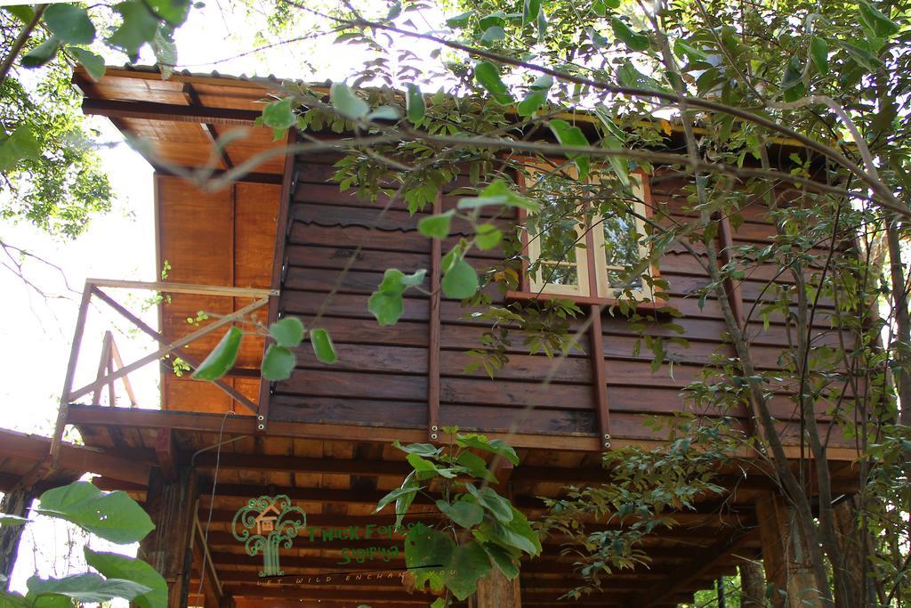 The Thick Forest Sigiriya Ruang foto