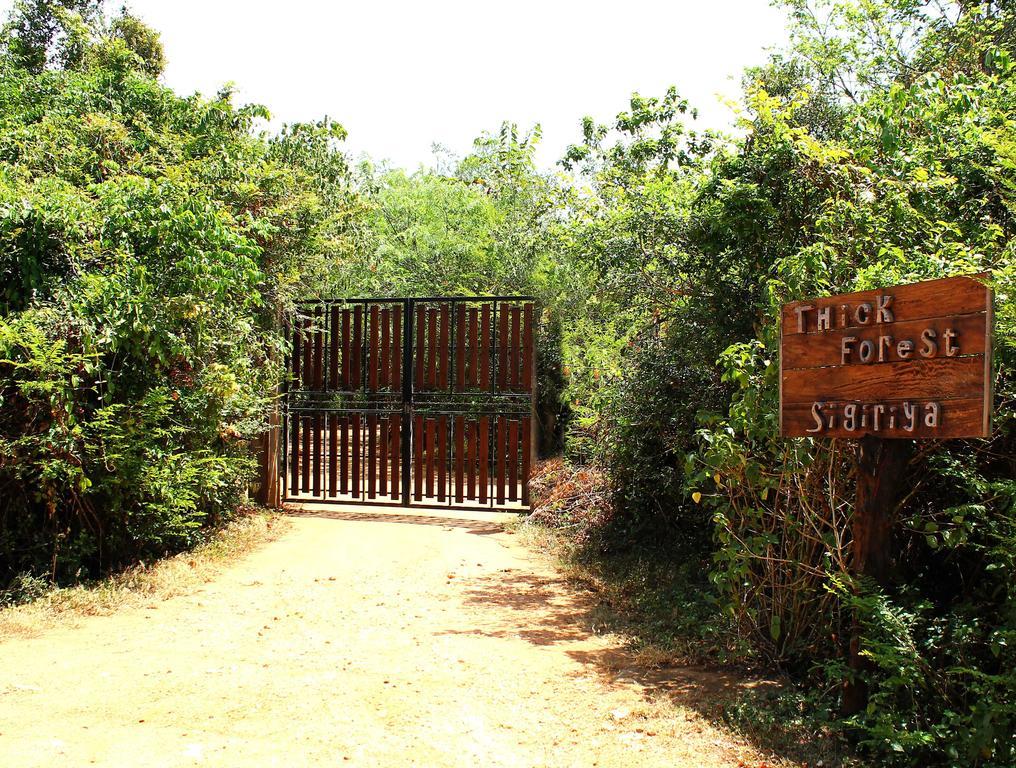 The Thick Forest Sigiriya Bagian luar foto