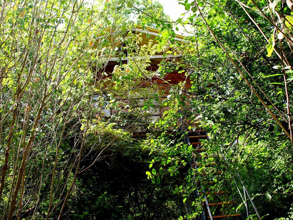 The Thick Forest Sigiriya Ruang foto