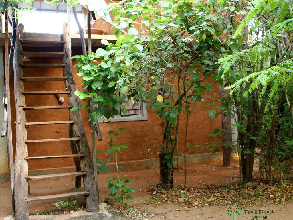 The Thick Forest Sigiriya Bagian luar foto