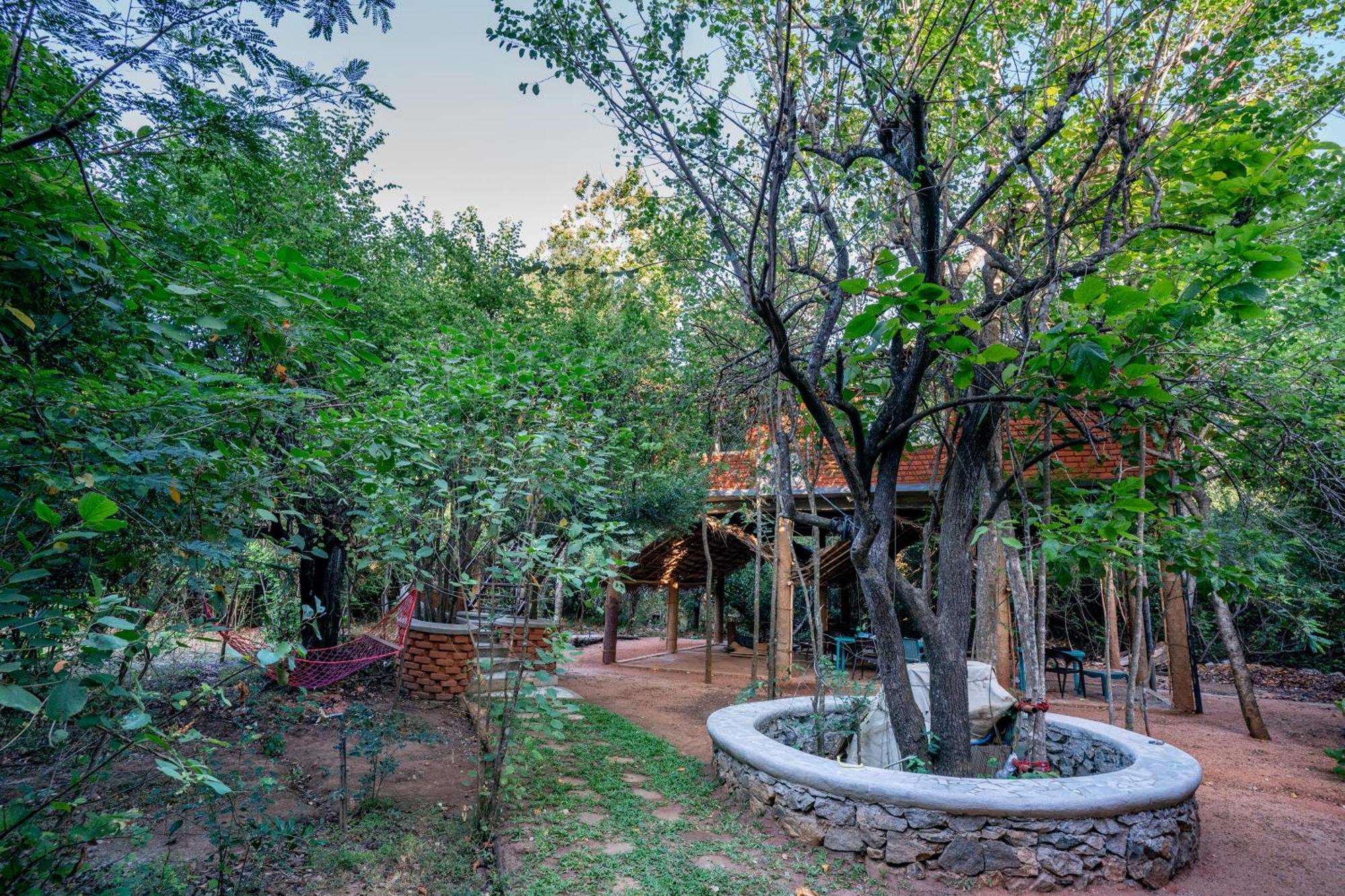 The Thick Forest Sigiriya Bagian luar foto