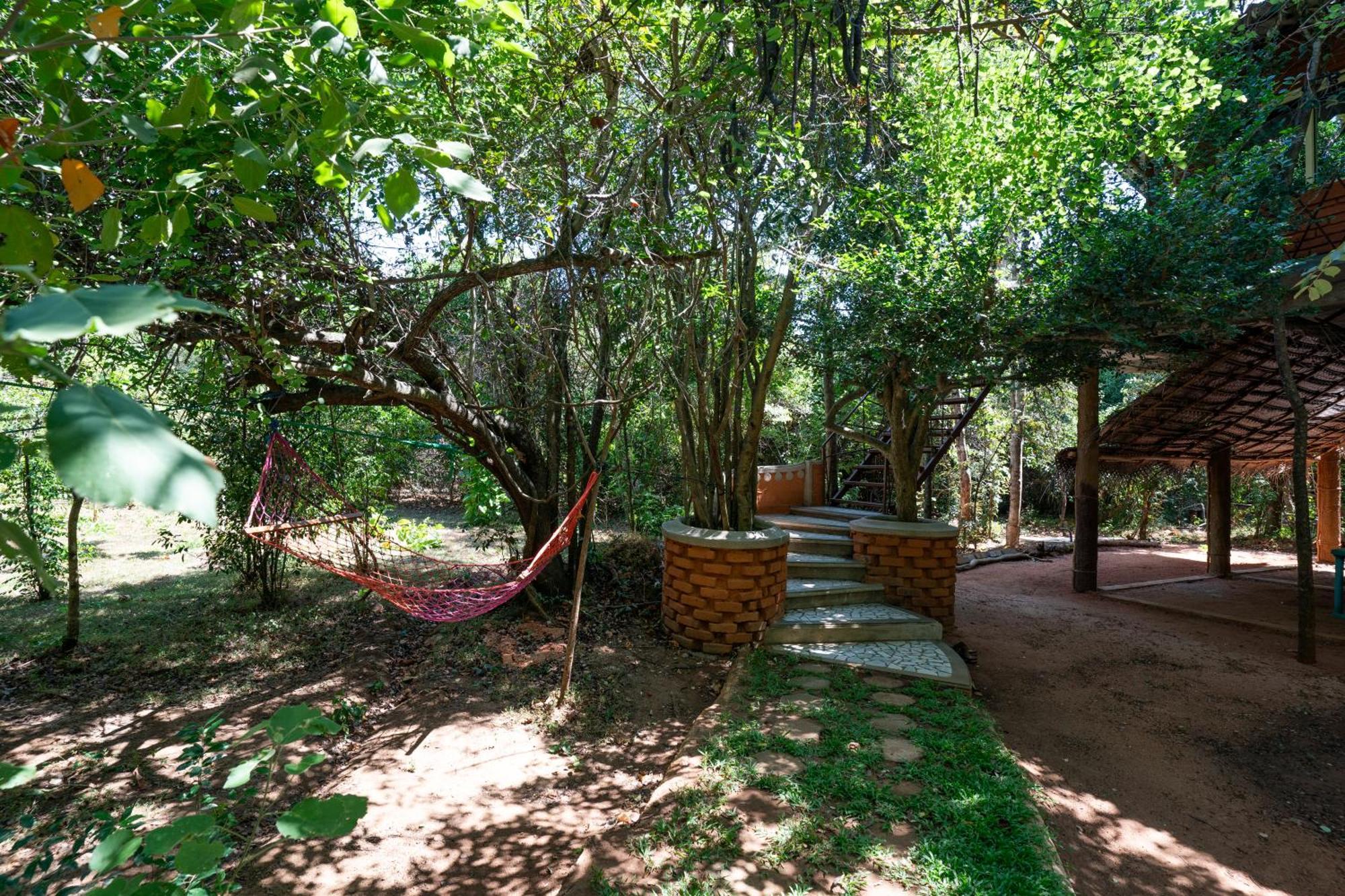 The Thick Forest Sigiriya Bagian luar foto