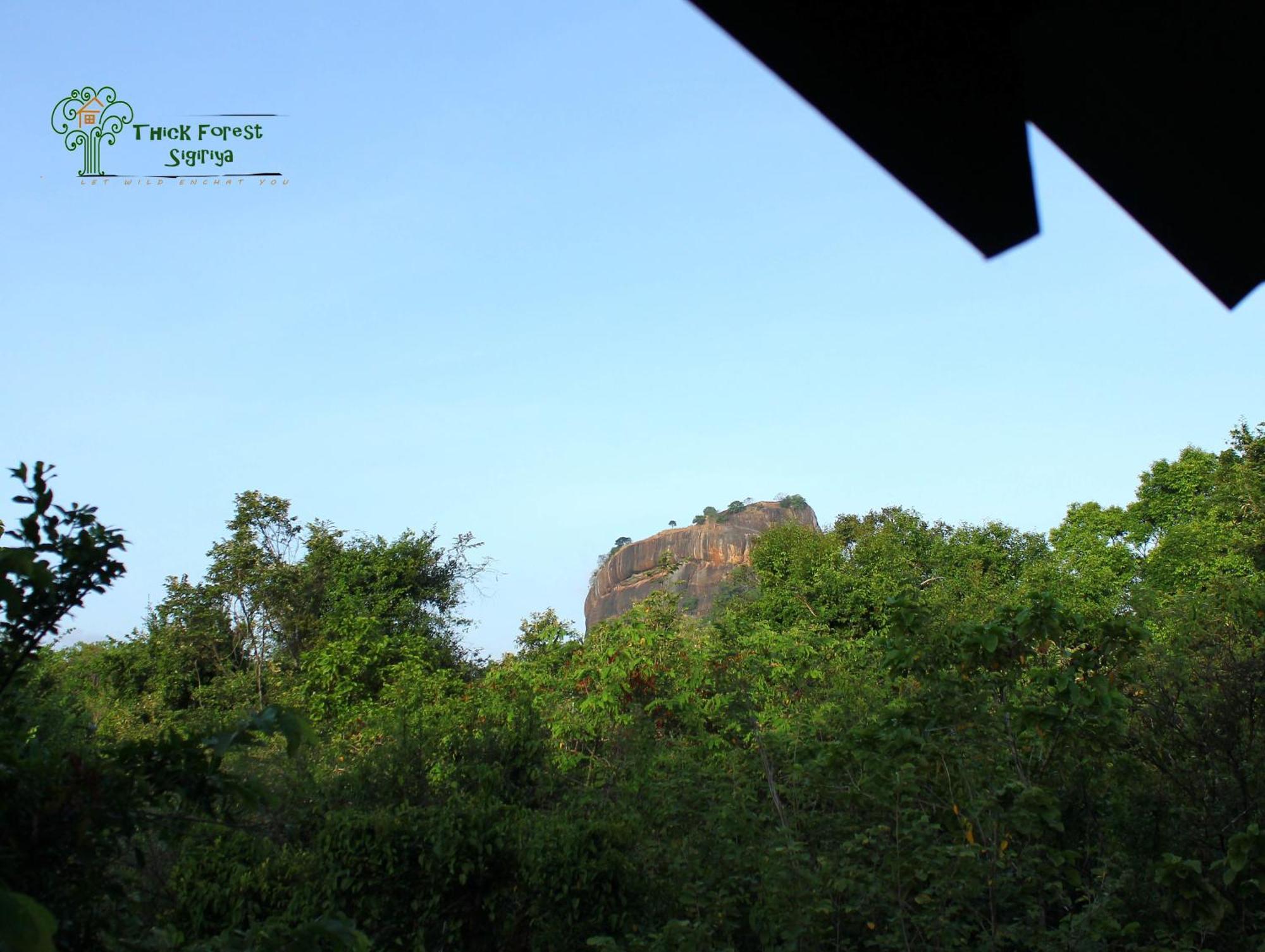 The Thick Forest Sigiriya Ruang foto