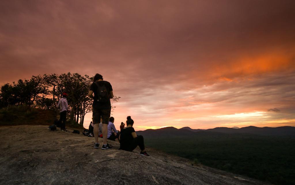 The Thick Forest Sigiriya Bagian luar foto