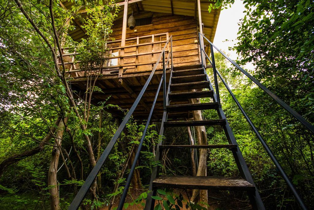 The Thick Forest Sigiriya Bagian luar foto