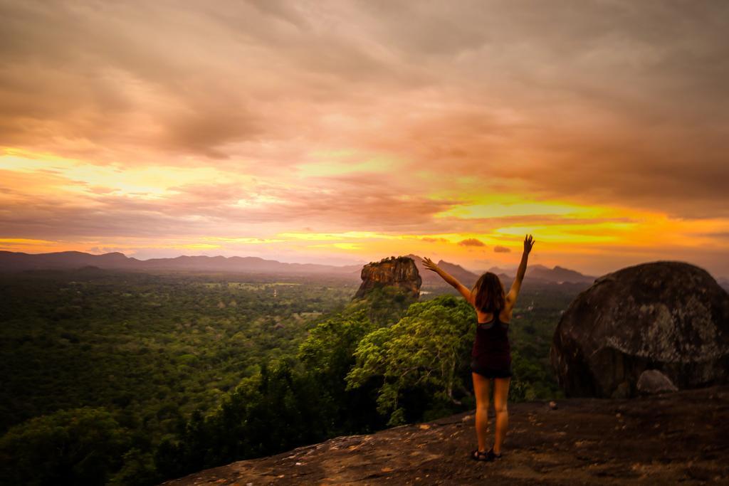 The Thick Forest Sigiriya Bagian luar foto