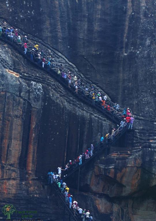 The Thick Forest Sigiriya Bagian luar foto