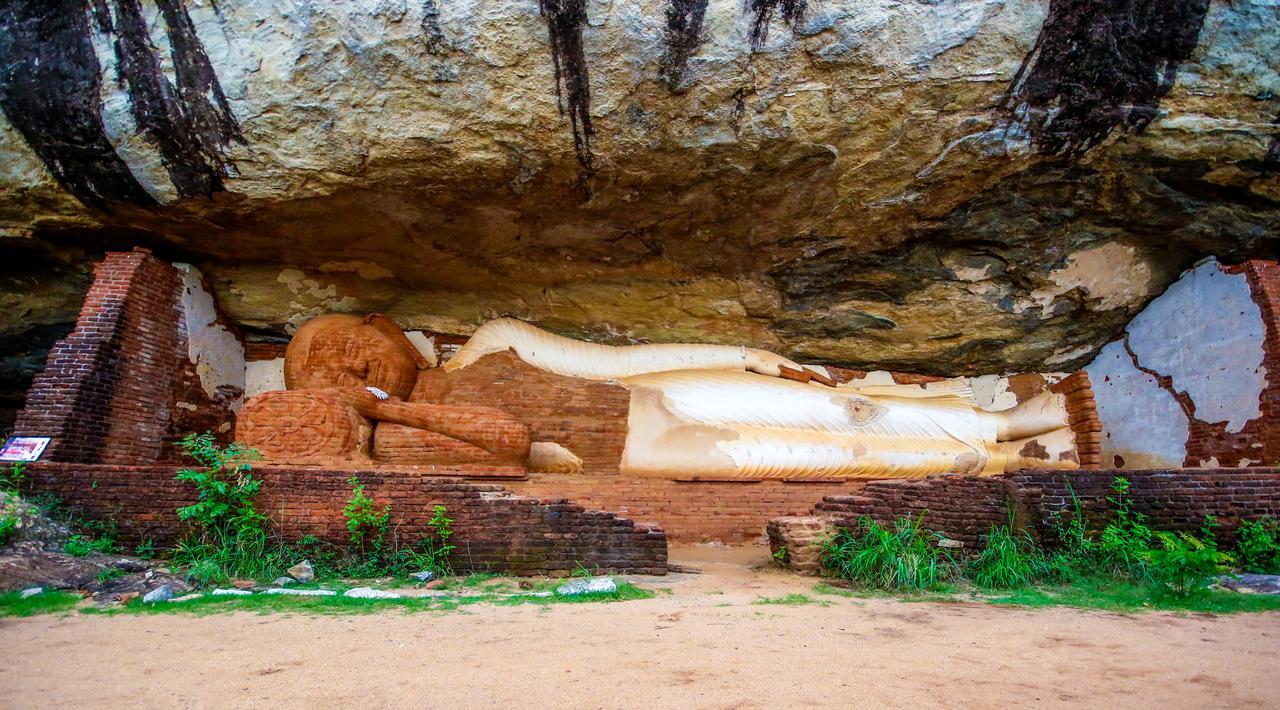 The Thick Forest Sigiriya Bagian luar foto
