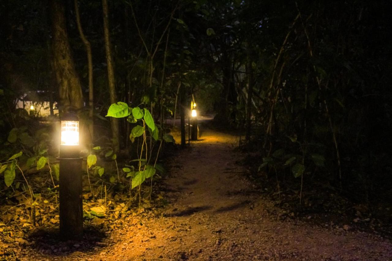 The Thick Forest Sigiriya Bagian luar foto