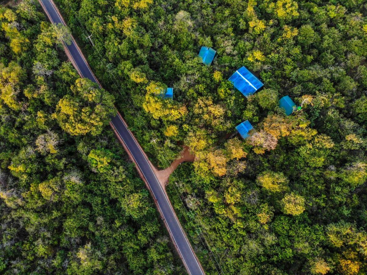 The Thick Forest Sigiriya Bagian luar foto